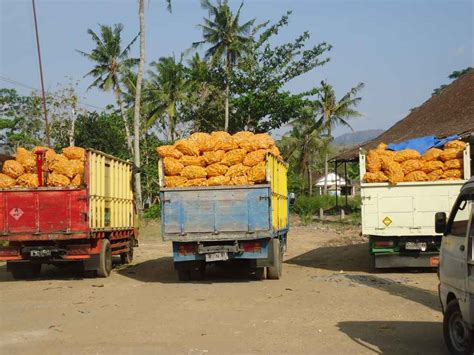 Perumda Pau Pedaringan” Kota Surakarta Berencana Punya Sistem Resi