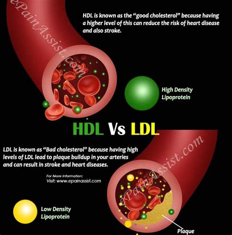 Hdl And Ldl Cholesterol Levels