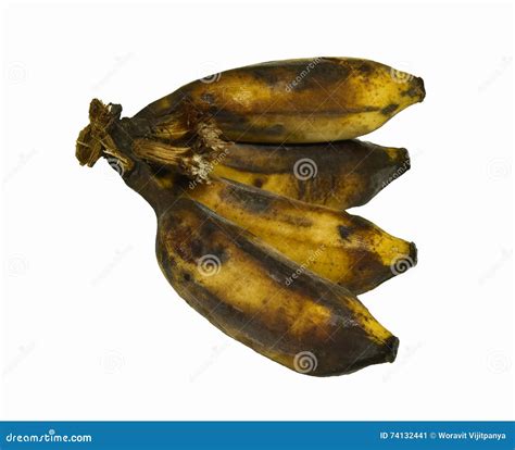 Black Rotten Banana Stock Image Image Of Dirty Rotten 74132441