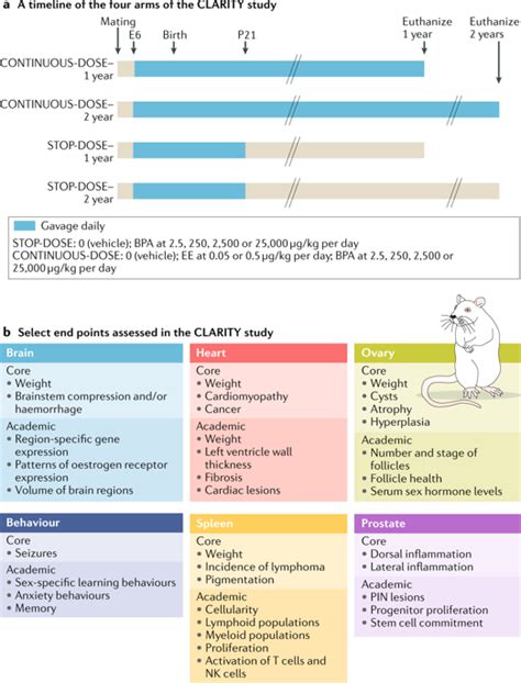 Endocrine Disruptors And The Future Of Toxicology Testing Lessons