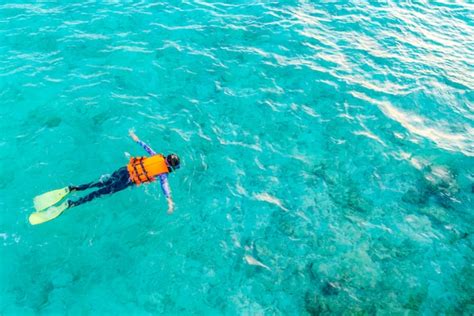 Free Photo | Snorkeling in tropical maldives island