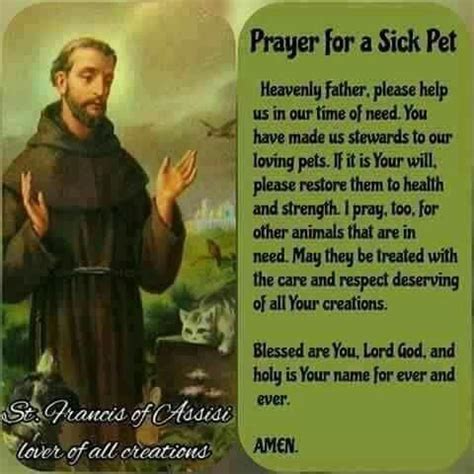 prayer for sick cat st francis - Staci New