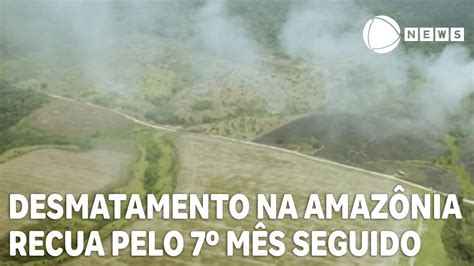 Desmatamento na Amazônia recua pelo sétimo mês seguido YouTube