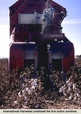 Cotton Harvesting - Wessels Living History Farm