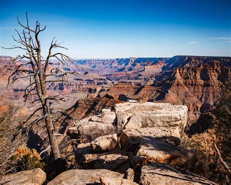 The Ultimate 2 Day Grand Canyon Itinerary | The Next Trip