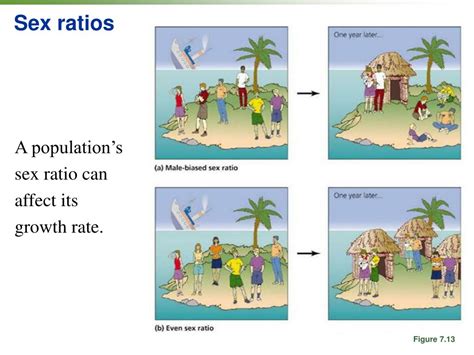 Ppt Human Population Growth Powerpoint Presentation Free Download Id 886966