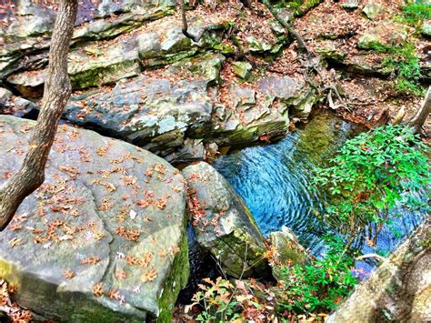 Atop the Waterfall at Moss Rock | Picture Birmingham