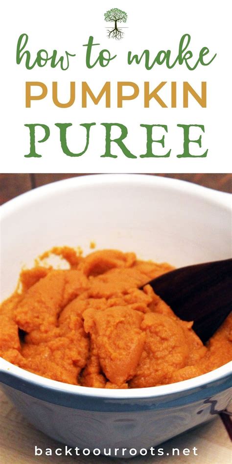 How To Make Your Own Way Better Than Canned Pumpkin Puree Recipe