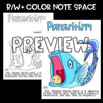 SCIENCE SCAFFOLDED NOTES ANCHOR CHART Symbiosis Parasitism TpT