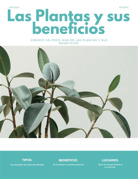 Revistas Las Plantas Y Sus Beneficios By Daniuska Delgado Issuu