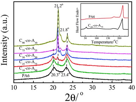 Wide Angle X Ray Diffraction WAXD Patterns Of PA6 And P CLA Co CLO