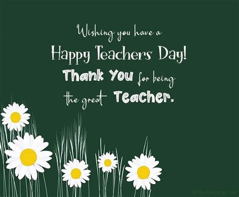 Happy Teachers Day Greeting Card With Daisies