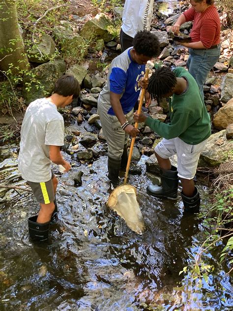 5,000 students, 8 streams, 1 eel - Howard County Conservancy