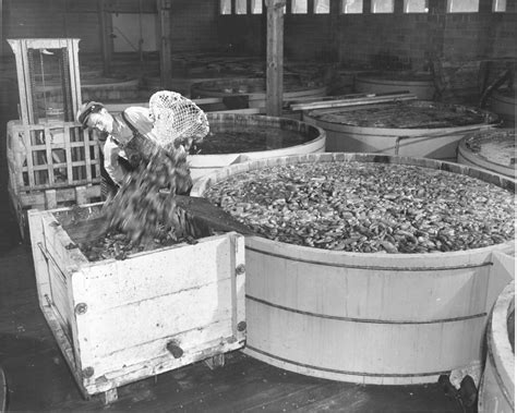 Nalley: The Pickle King Behind the Namesake Tacoma Valley - SouthSoundTalk