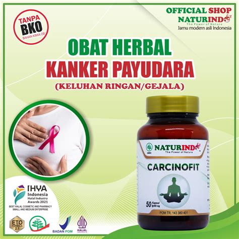 Jual OBAT TUMOR PAYUDARA OBAT HERBAL TUMOR KANKER BENJOLAN PAYUDARA