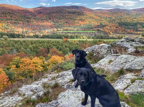 15 Best Hikes in Vermont: A Local's Guide