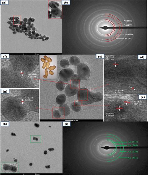 TEM Micrograph Of A AgcAus NPs B SAED Pattern Of AgcAus NPs C HRTEM