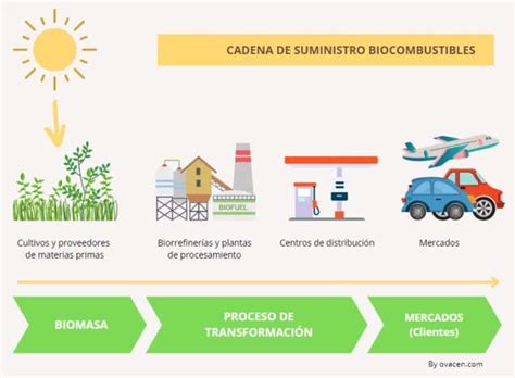 Biocombustibles Qu Son C Mo Se Obtiene Y Ventajas Ovacen