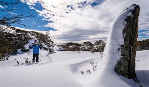 Snowy Mountains Nsw National Parks