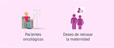 La preservación de la fertilidad congelar óvulos y esperma