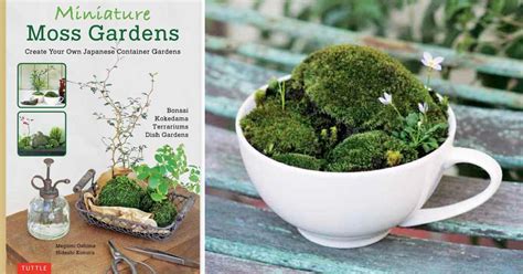 Make A Miniature Moss Bonsai Garden