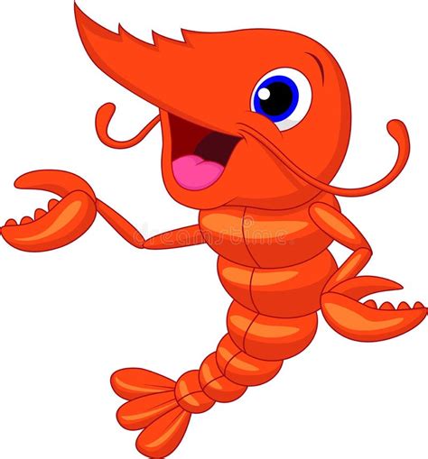 Cartoon Shrimp Stock Illustrations 16123 Cartoon Shrimp Stock