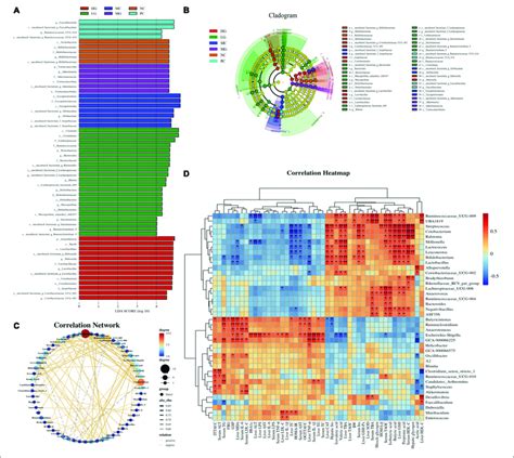 Comparison Of Gut Microbiota By Lefse Analysis And Correlation Download Scientific Diagram