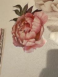 Amazon Flowers Wall Sticker Peony Rose Outivity Waterproof Pvc