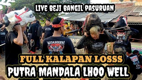 Full Kalapan Putra Mandala Wisanggeni Live Beji Bangil Pasuruan Youtube