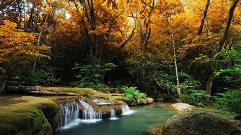 Foto Natur Herbst Wasserfall Wälder Bäume