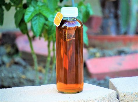 Sun Tea Garden Summer - Free photo on Pixabay - Pixabay