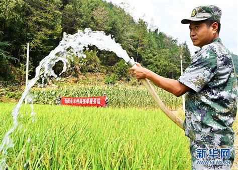 多图直击：重庆全力抗旱保秋收 确保秋粮“颗粒归仓” 荔枝网