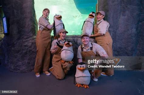 Pictures and Photos - Getty Images
