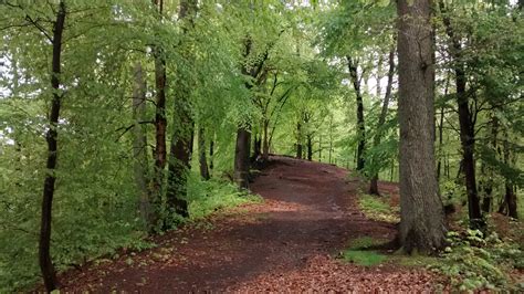 Kostenlose Foto Landschaft Baum Natur Wald Wildnis Weg Blatt