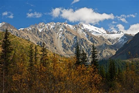 Ала-Арча осенью / Фото / Mykgstan.com