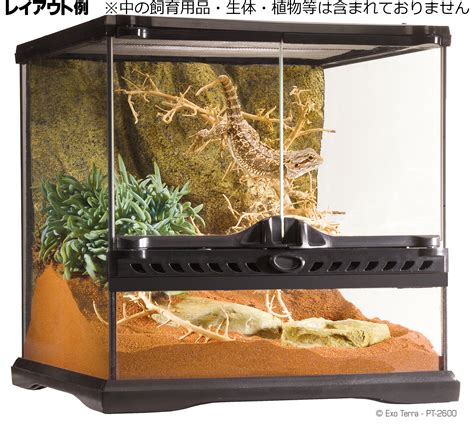 グラステラリウム3030 エキゾテラ Gex ガラス飼育ケージ 販売 通販