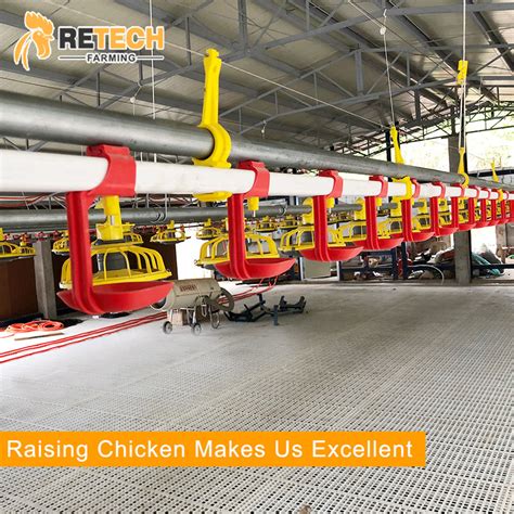 Low Cost Broiler Floor Raising Poultry Farm Equipment On The Ground