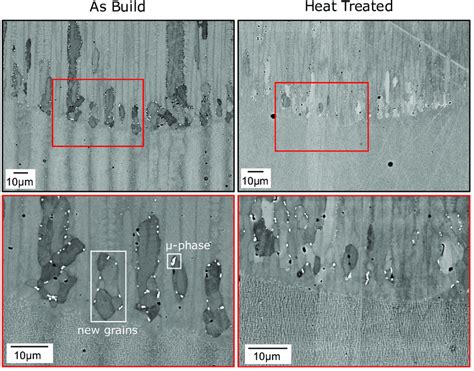 Sem Images Of The Melt Pool Bottom For The As Built And Heat Treated