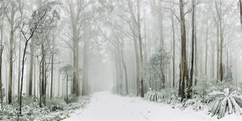 All The Places You Can See Snow Near Sydney Secret Sydney