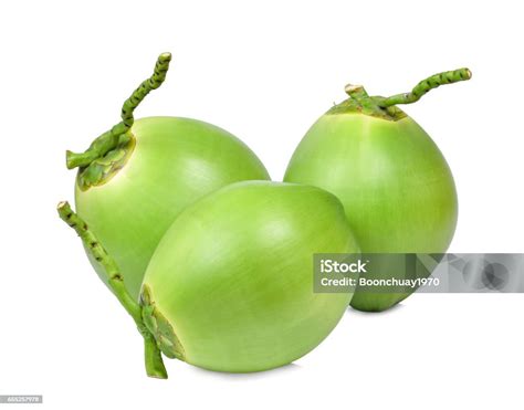 Three Fresh Green Coconuts Isolated On White Stock Photo Download