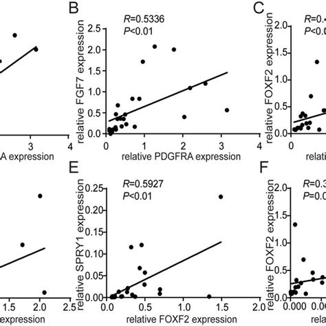 Correlation Analysis Of Lung Development Gene Expression Levels The