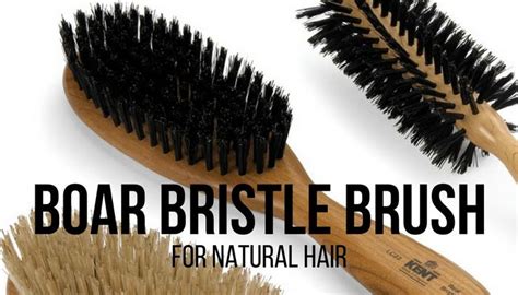 The Benefits Of Using A Boar Bristle Brush On Your Natural Hair Boar