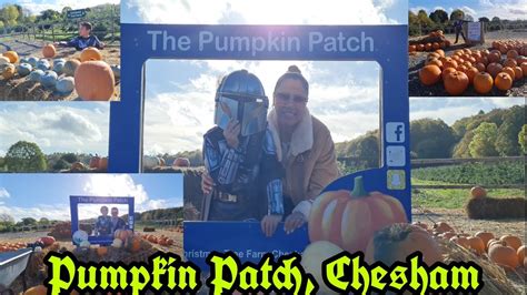 Our First Experience To Do The Pumpkin Patch In Chesham YouTube