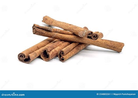 Herb Dried Cinnamon Bark Isolated On A White Background Stock Image