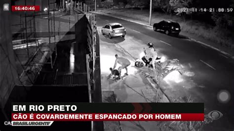 CÃO É COVARDEMENTE ESPANCADO POR HOMEM YouTube