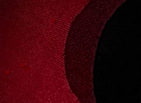 abstract red  hole photograph  dave stubblefield