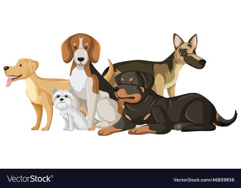 Set of dog breeds cartoon Royalty Free Vector Image