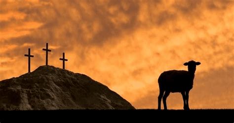 The willing Passover Lamb