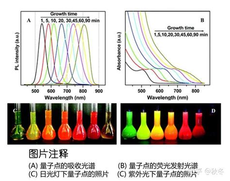 水溶性巯基乙胺 CA 修饰的CdTe QDs量子点 定制技术量子点表面修饰药物小分子 知乎