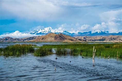 Lake Titicaca Bolivia Mountain - Free photo on Pixabay - Pixabay